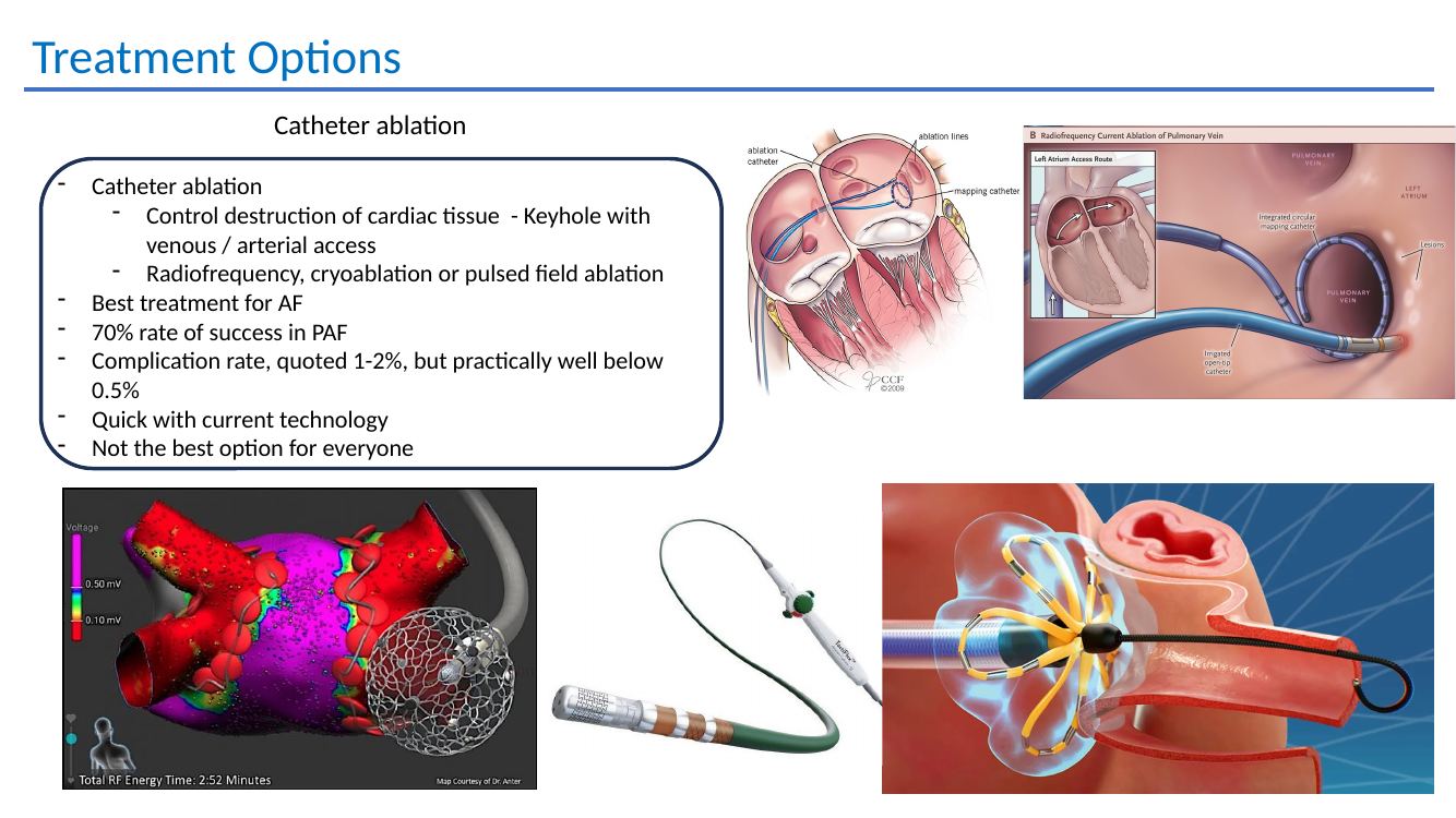 AF catheter ablation slide